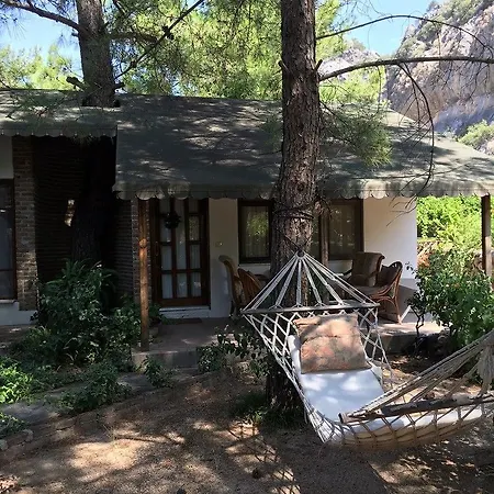 Guest house Porto Ceneviz