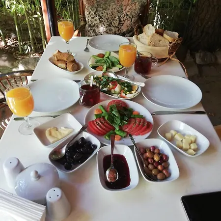 Guest house Porto Ceneviz